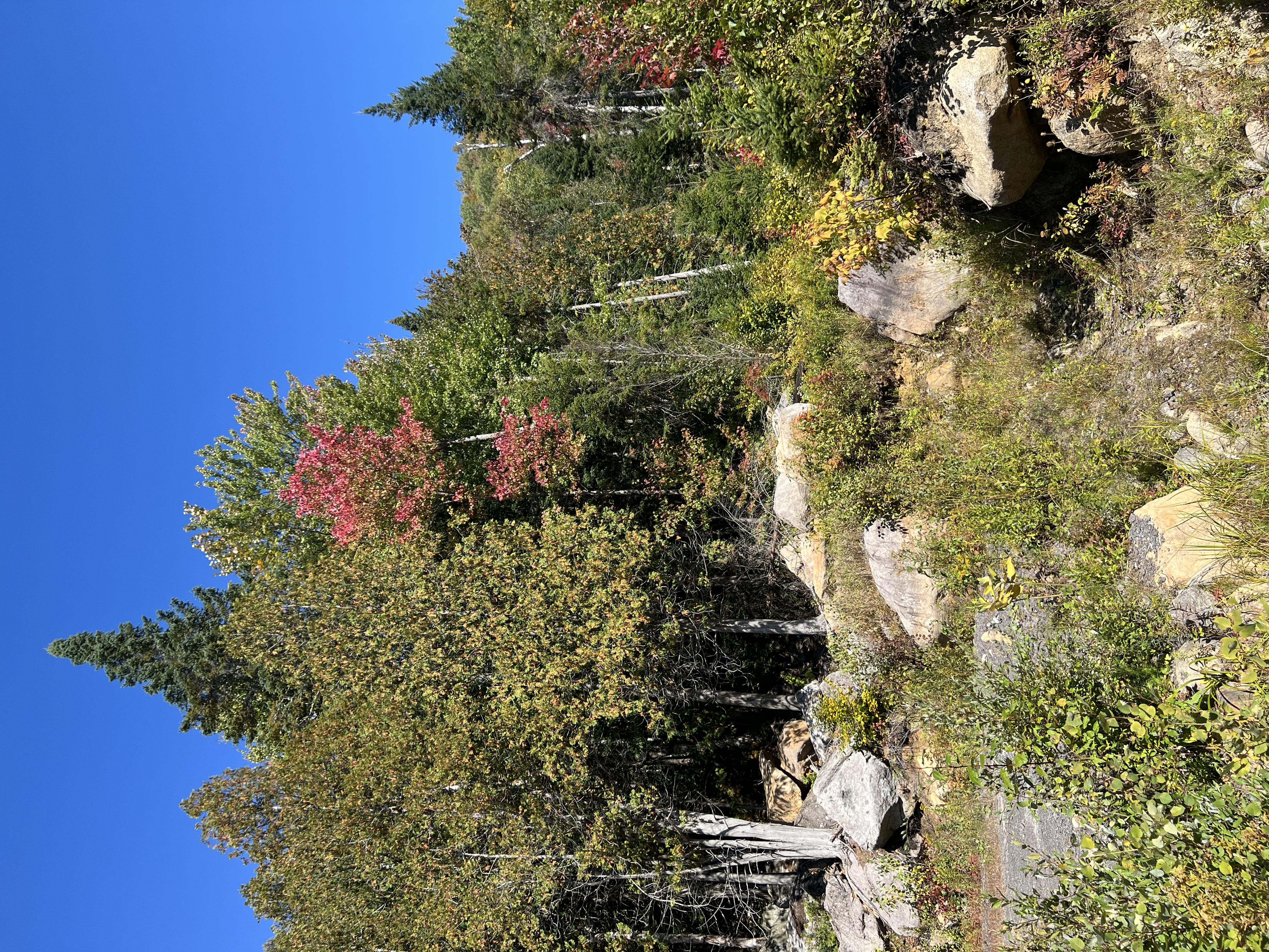Autumn colors across the property