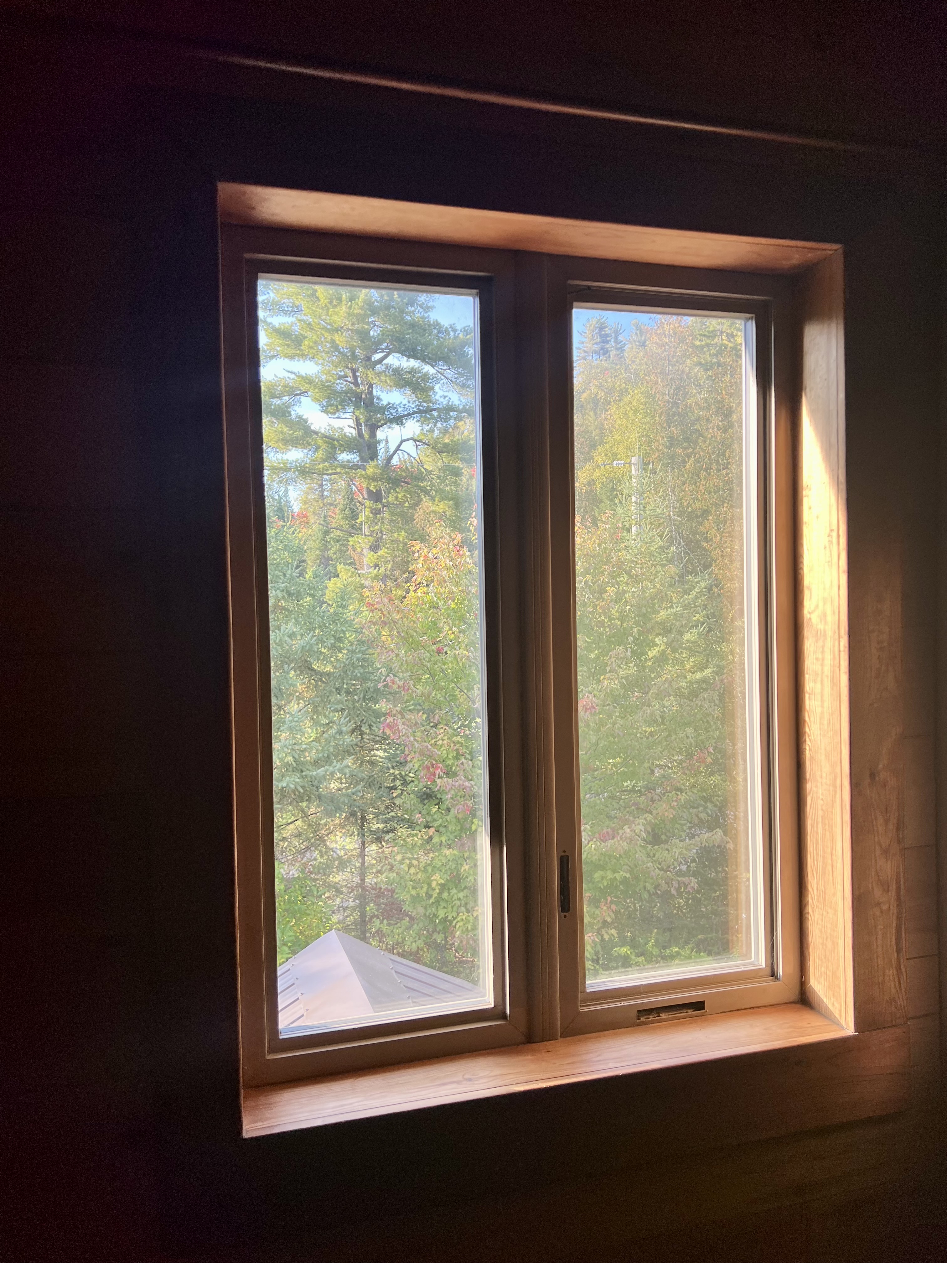 View of forest through upstairs window