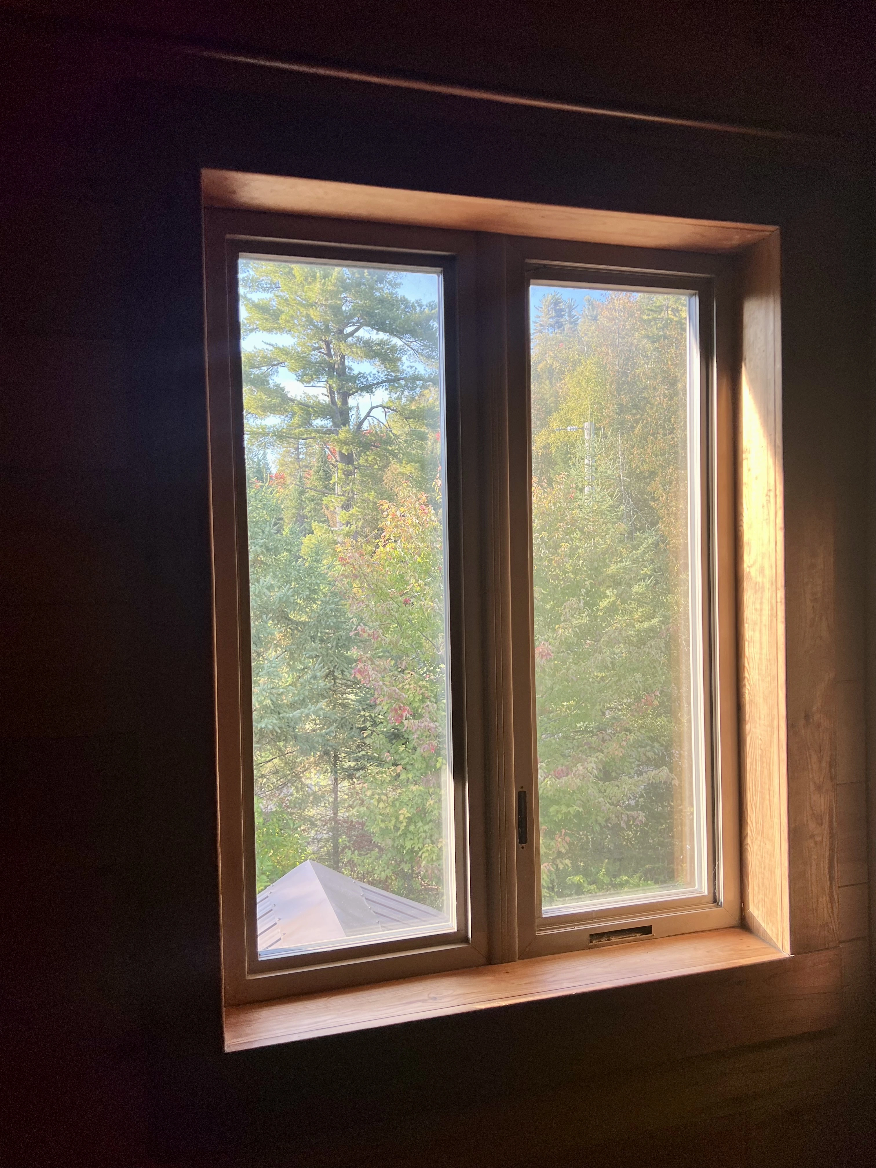 Vue sur la forêt depuis la fenêtre à l’étage