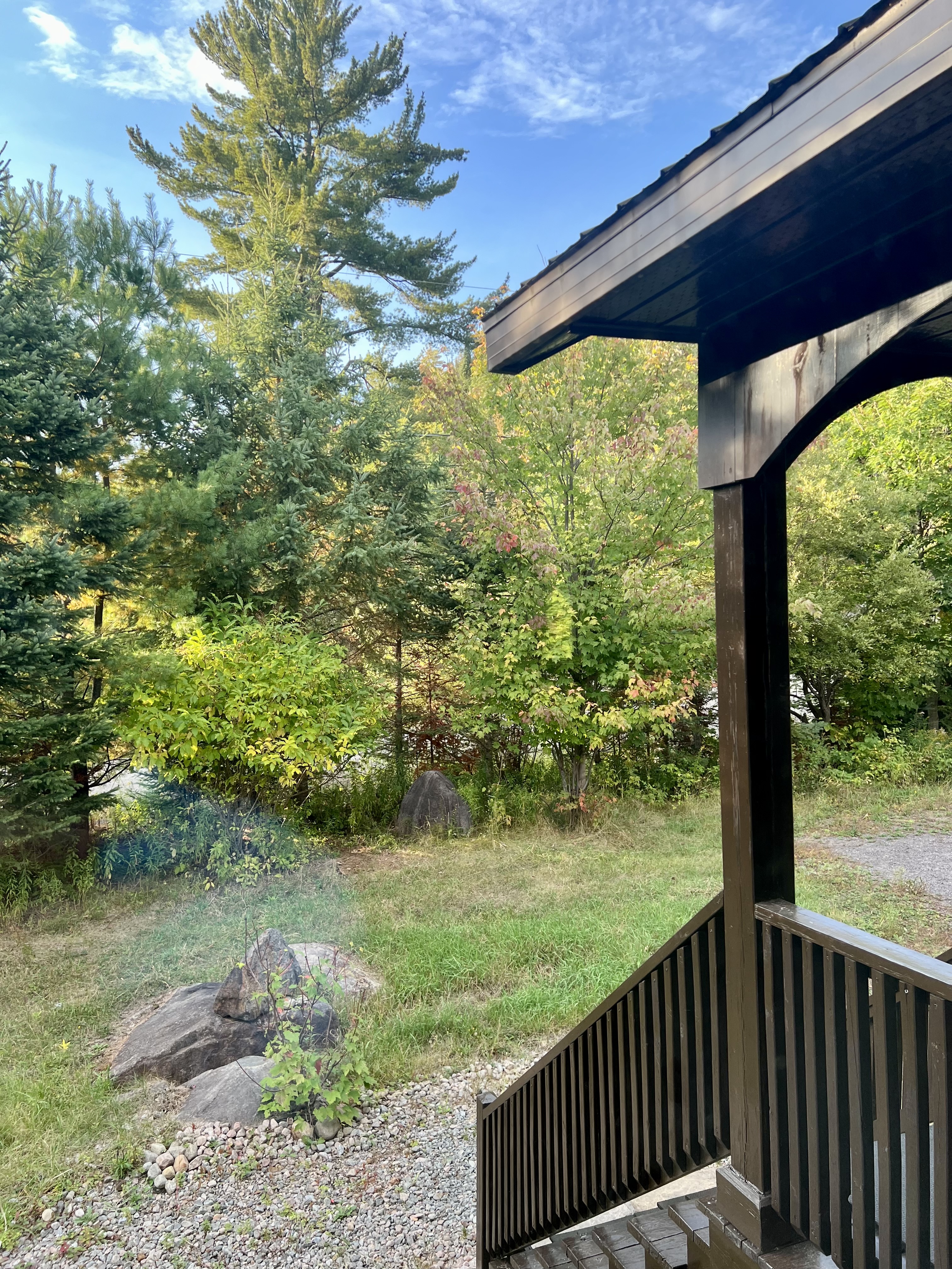 Covered porch overlooking yard and trees