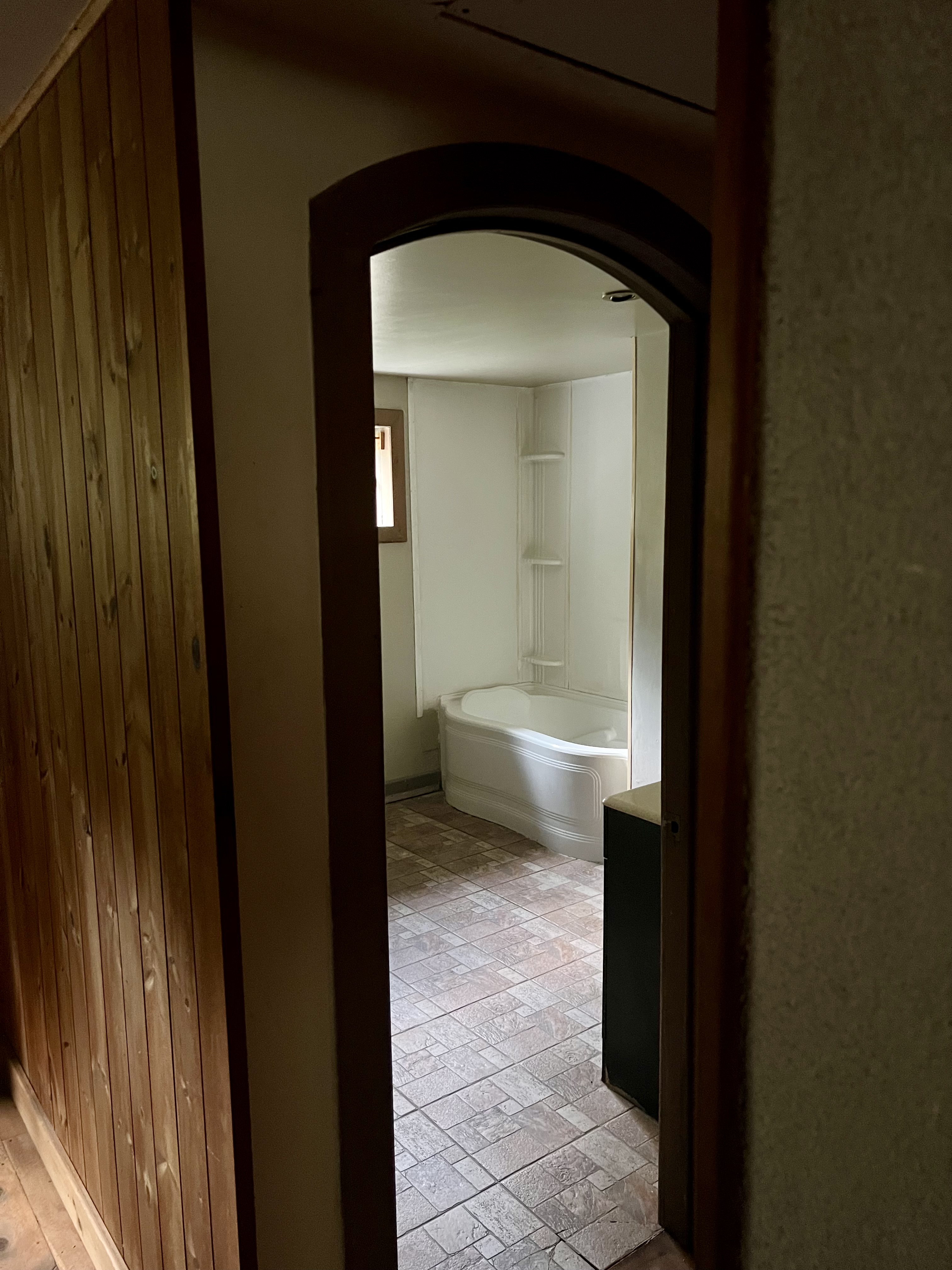 Lower level bathroom with tub