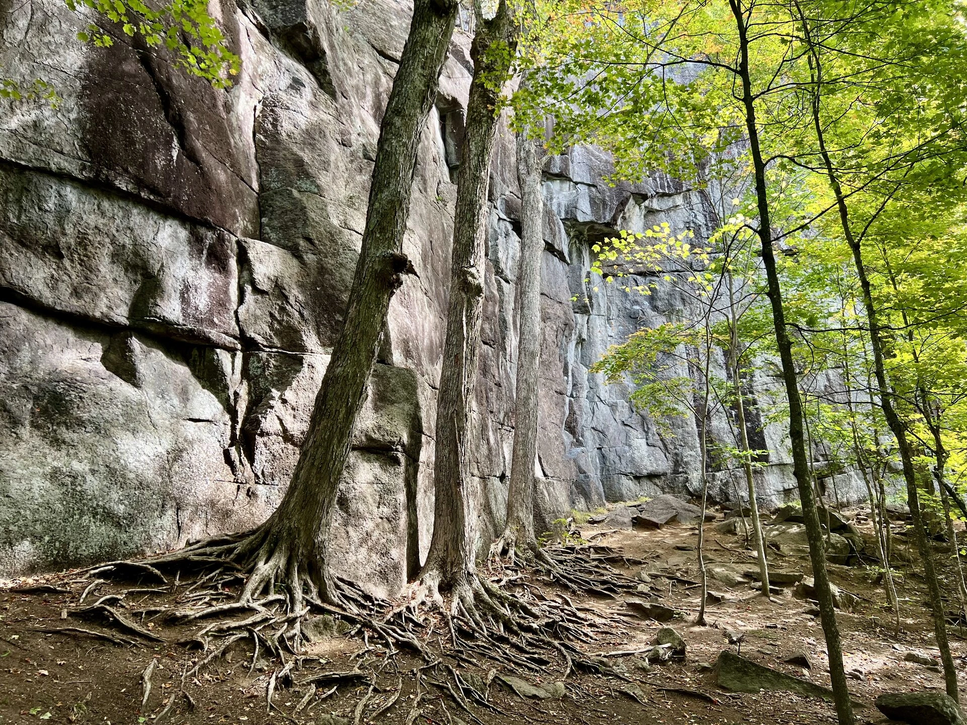 Paroi de granit dans le parc régional
