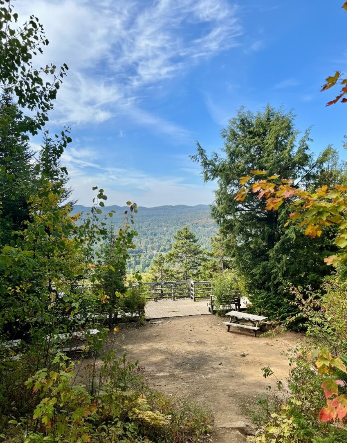 Cliffs and roots along the trail